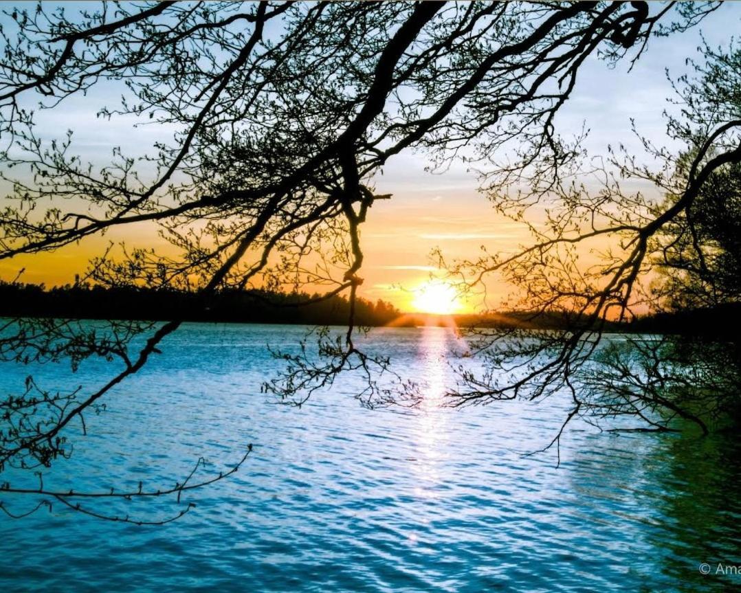 Close To The Metro And The Beach!!! With A View Of The Scandinavian Forest 斯德哥尔摩 外观 照片