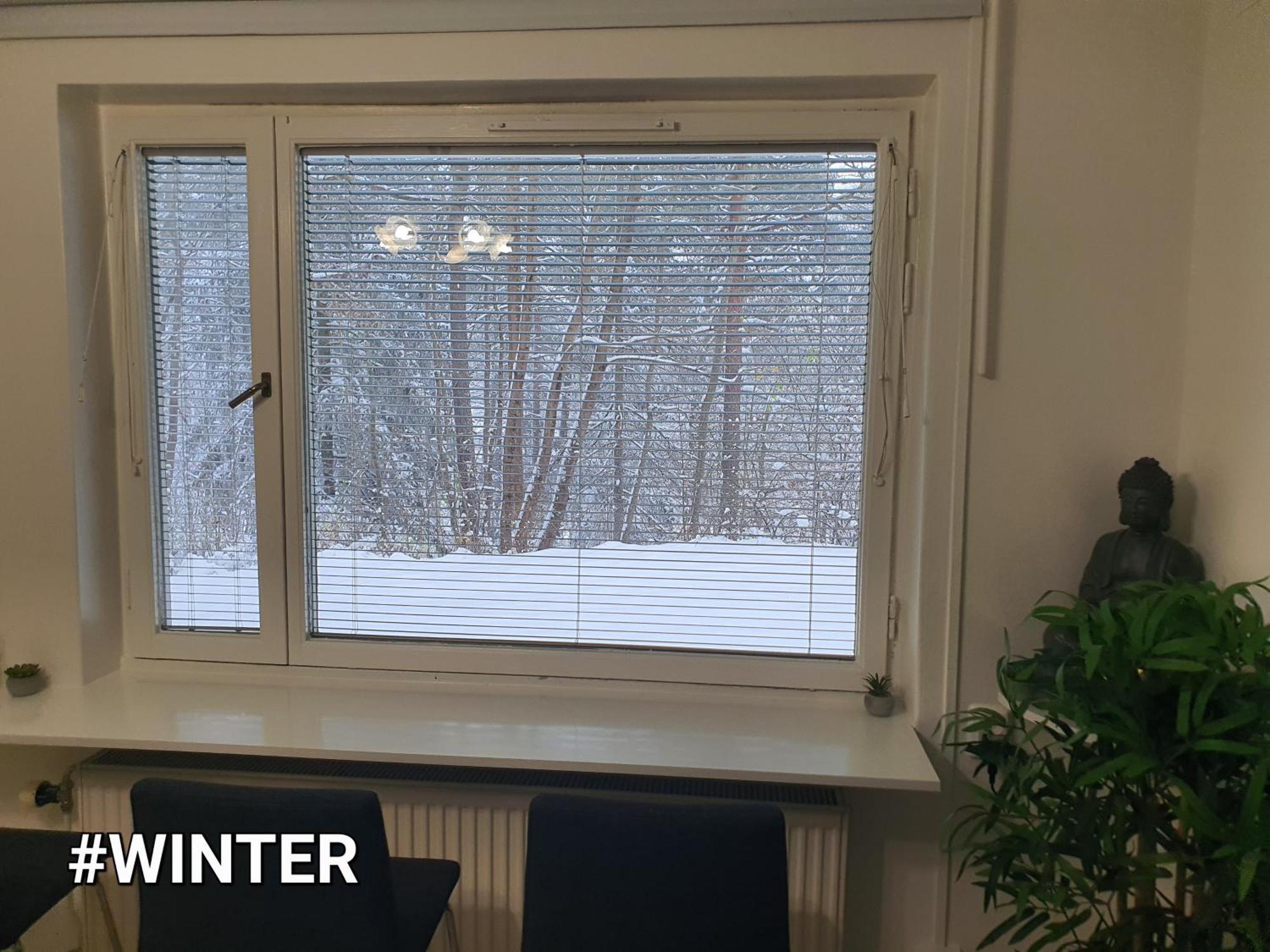 Close To The Metro And The Beach!!! With A View Of The Scandinavian Forest 斯德哥尔摩 外观 照片
